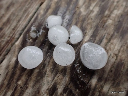 Marble Sized hail