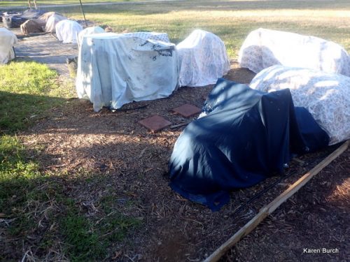 Frost protection during winter