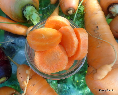Fresh Carrot slices
