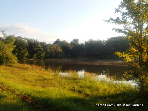 The Lake during Fall