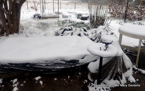 Snow covered bird bath and beds