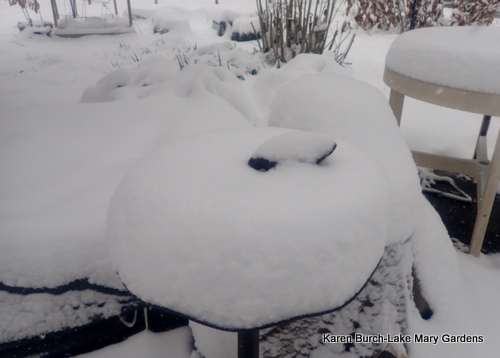 Snow covered bird bath