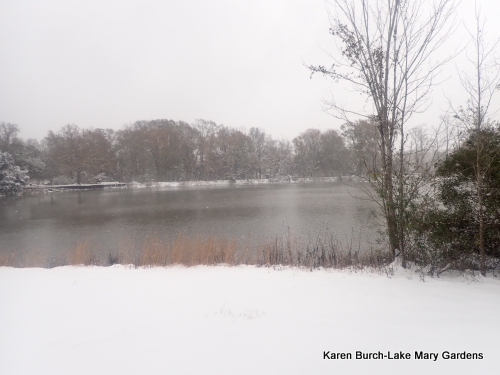 Snow Day on the lake