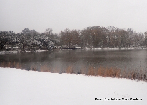 Snow Day on the lake
