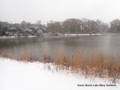 Snow Day on the lake