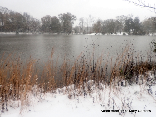 Snow Day on the lake