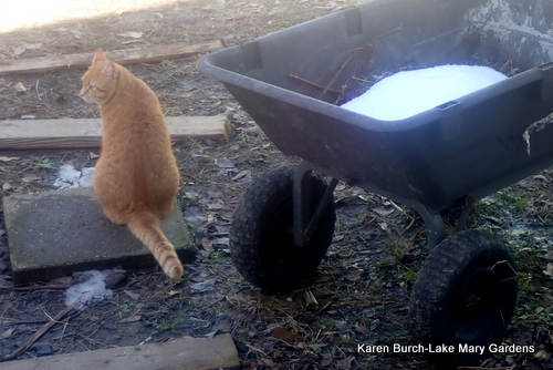 Waiting for the snow to melt