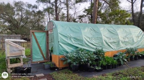 Greenhouse and cold frame open