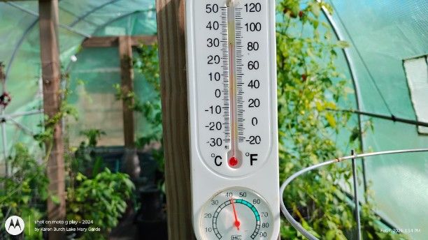 Greenhouse beginning of February warm during the day
