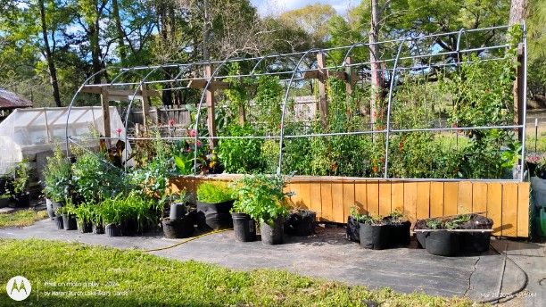 The top is off the polytunnel greenhouse