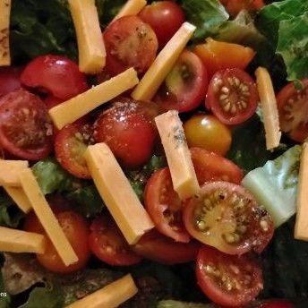 Cheese and Tomatoes