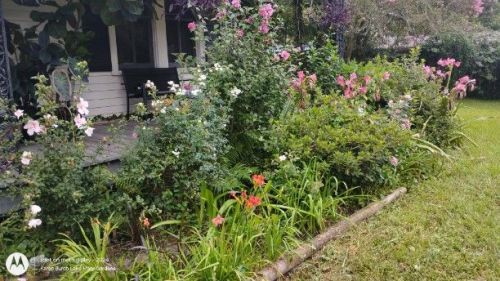Flower bed